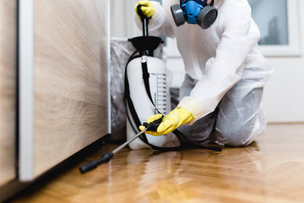 Best Affordable Pest Control Services  in Hillsdale, MI