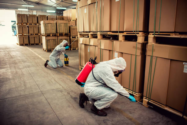 Best Flea Control Services  in Hillsdale, MI