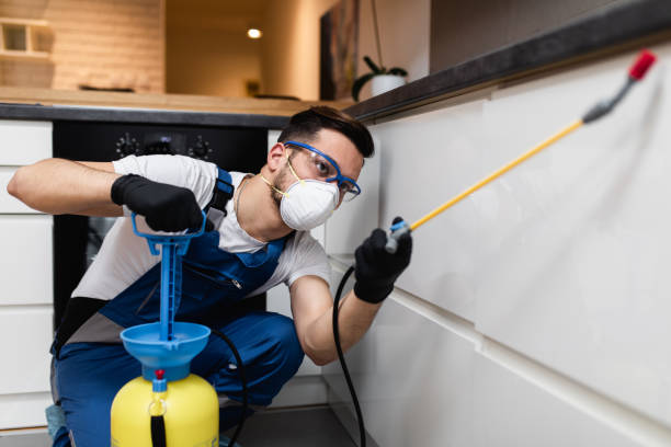 Best Pest Control for Restaurants  in Hillsdale, MI