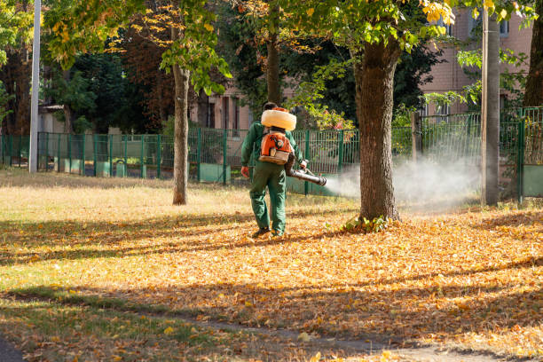 Best Pest Control Near Me  in Hillsdale, MI