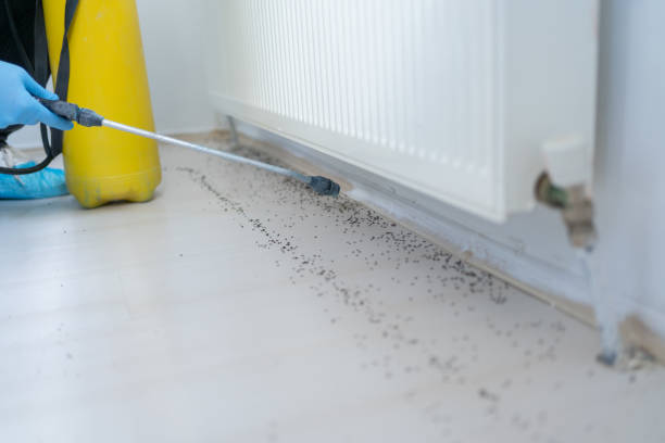  Hillsdale, MI Pest Control Pros