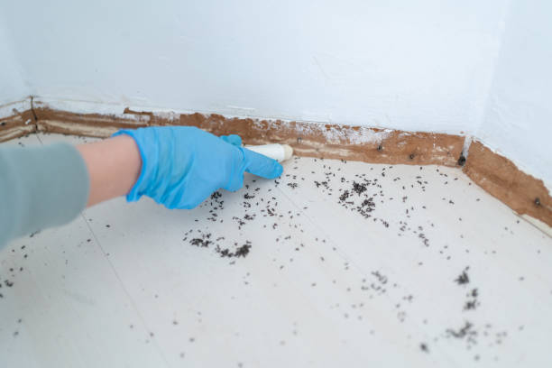Best Pest Inspection Near Me  in Hillsdale, MI