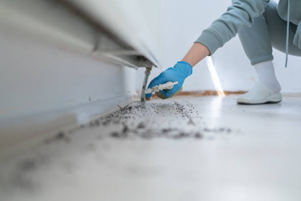 Hillsdale, MI Pest Control Company
