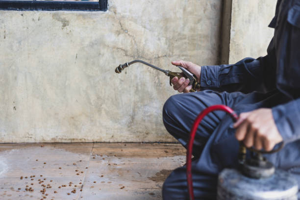 Best Best Pest Control Companies  in Hillsdale, MI
