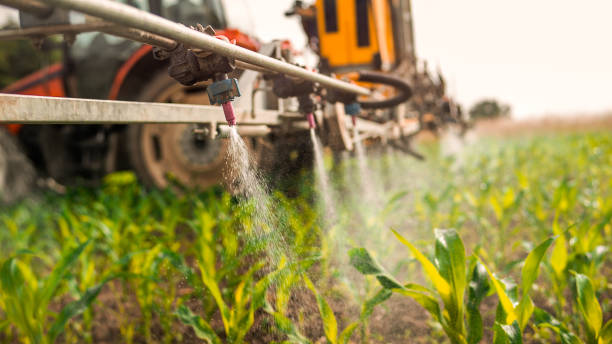 Best Wildlife Control Services  in Hillsdale, MI